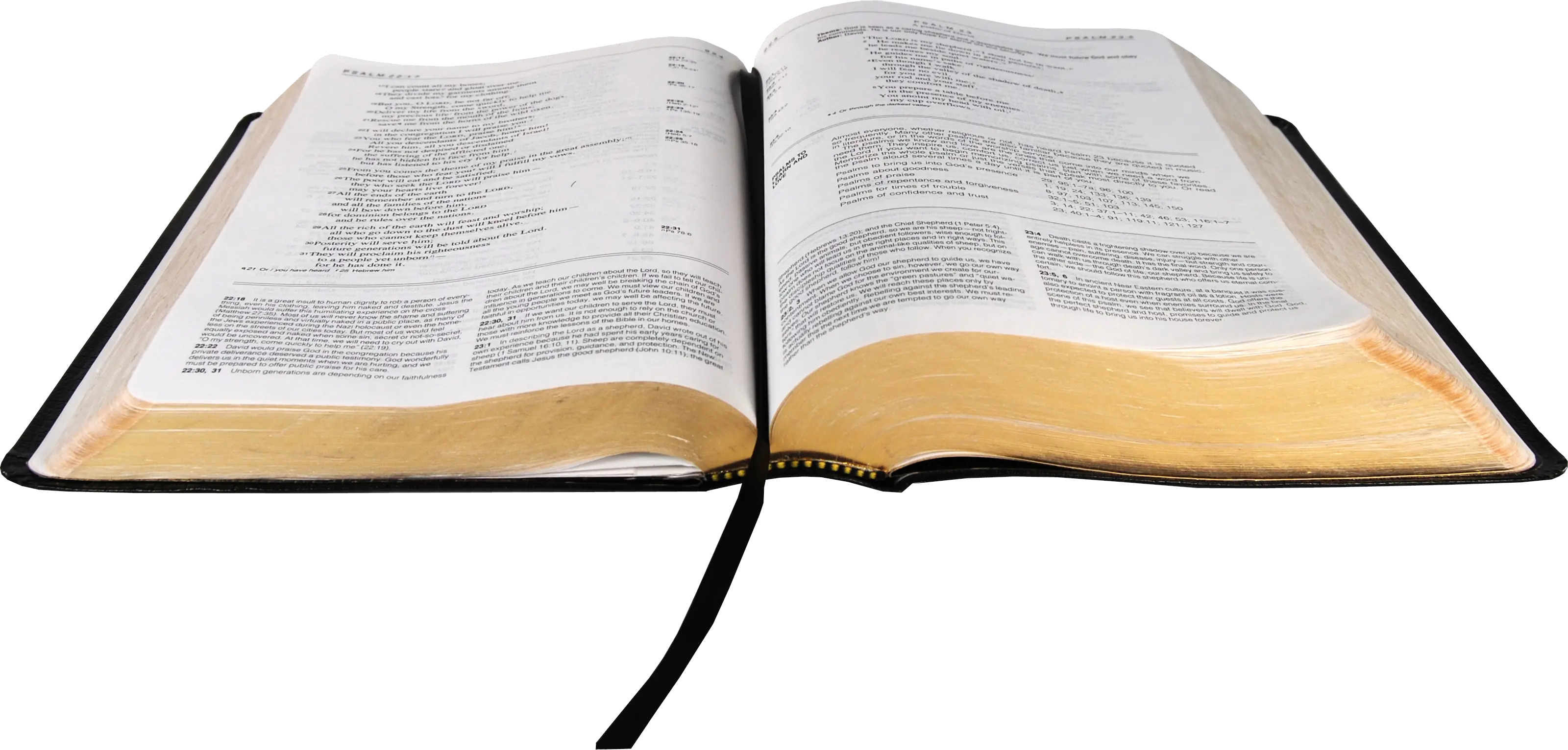  Bible Book Clipart Royalty Free Png