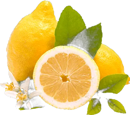  Limones Png Rangpur Limon Png