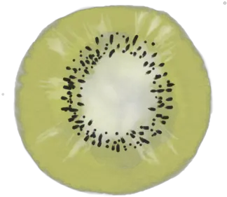  Cute Water Colour Kiwi Transparent Kiwi Fruit Cute Png Kiwi Transparent