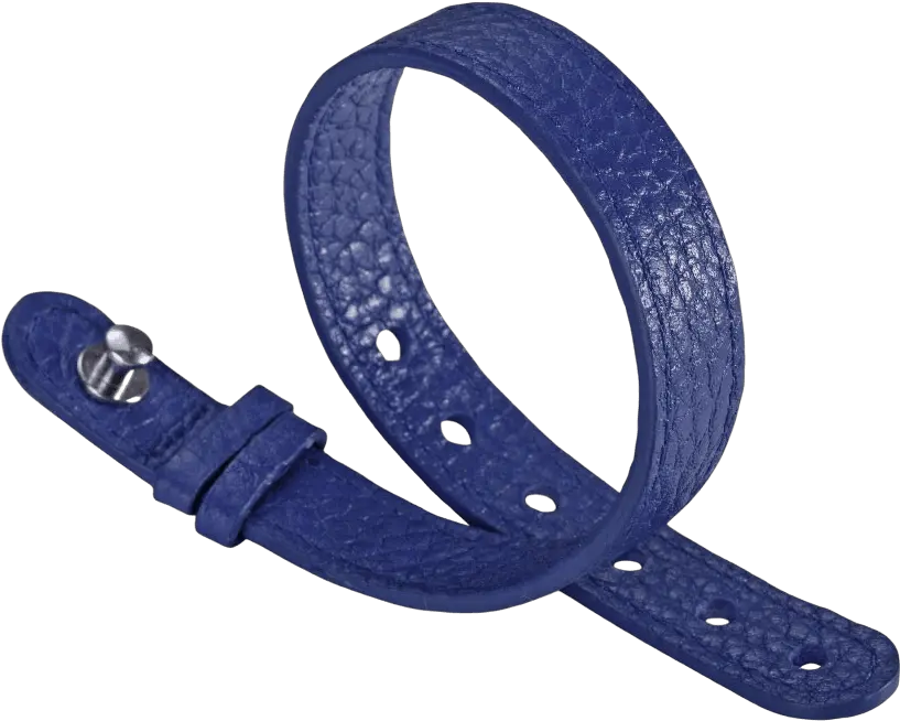  Blue Leather Strap For Steel Icon Model 10scblst Philip Stein Png Leather Icon