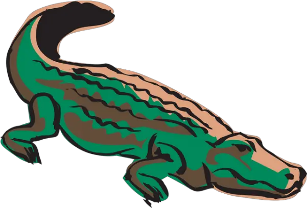  Crocodile Alligator Reptile Transparent Png Images U2013 Free Caiman Png Alligator Transparent