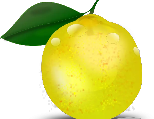  Limon Tropical Png Transparent Lemon Lemon Tree Png