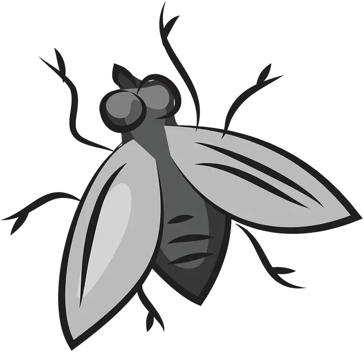  Fly Clipart Free Download Transparent Png Creazilla Fly Clipart Fly Transparent