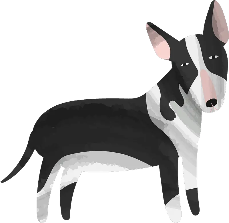  Pitbull Clipart American Pit Bull Terrier Png Pit Bull Png