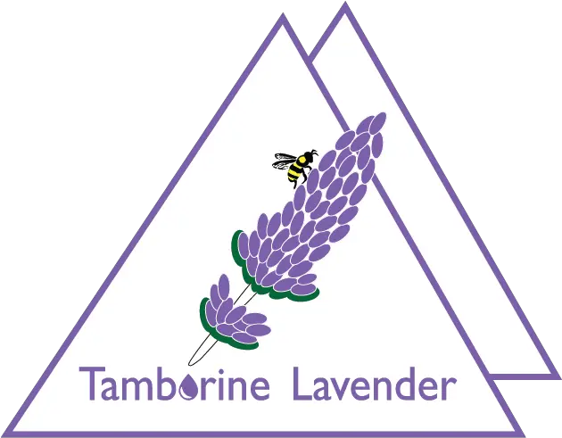  Tamborine Lavender Home Language Png Lavender Logo