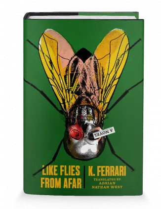  Book Review Like Flies From Afar By K Ferrari Like Flies From A Novel Png Flies Png