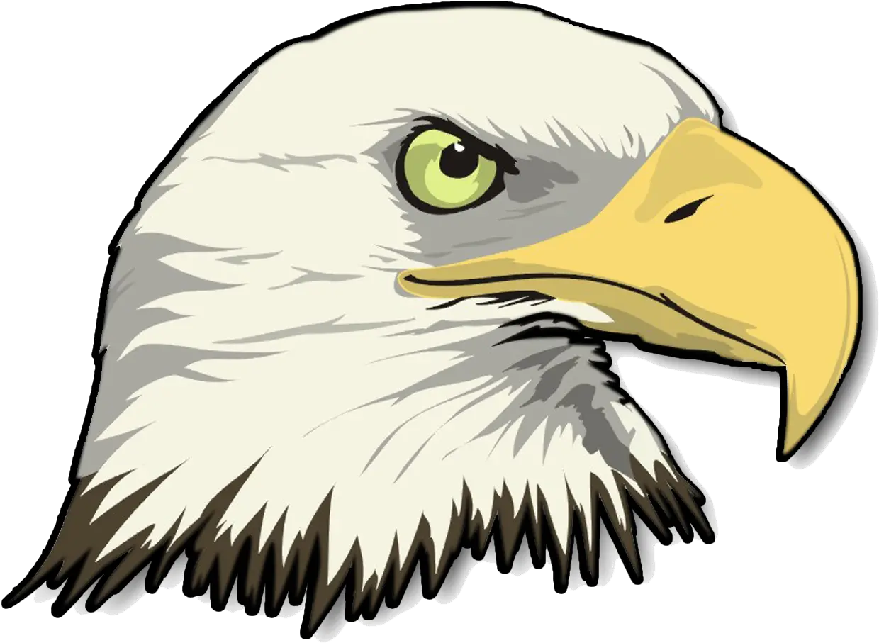  Eagle Head Transparent Image Png Arts Bald Eagle Clipart Bald Head Png