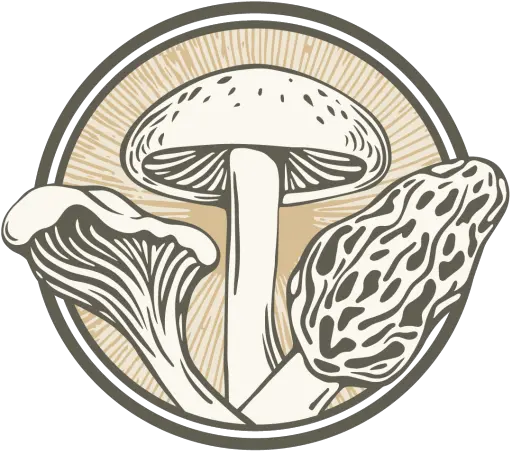  King Oyster Mushroom Shiitake Png Mushroom Logo