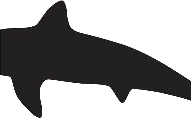  Hammerhead Shark Clipart Svg Shark Transparent Cartoon Whale Png Harambe Transparent