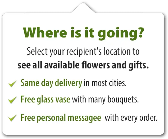  Flowers To Mexico Daflorescom Screenshot Png Mexican Flowers Png