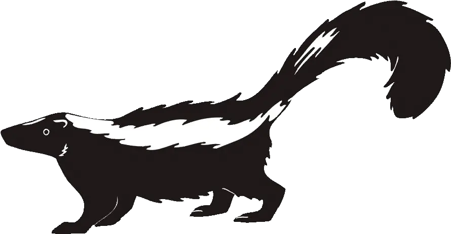  Skunk Clipart Skunk Clipart Transparent Background Png Skunk Transparent