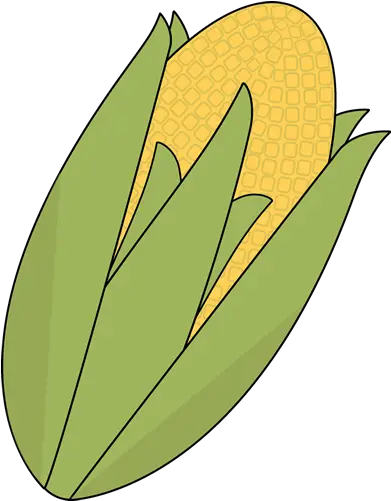  Corn Transparent U0026 Png Clipart Free Download Ywd My Cute Graphics Thanksgiving Corn Clipart Png