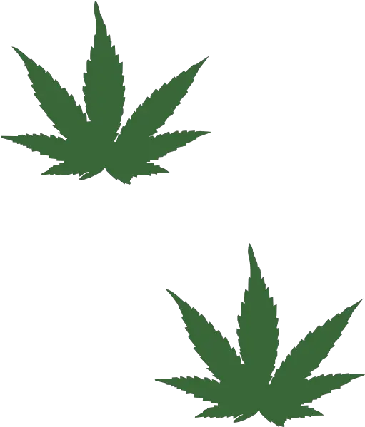  Weed Leaf Transparent Png Cannabis Leaves Black Weed Leaf Weed Leaf Drawing Small Marijuana Leaf Transparent