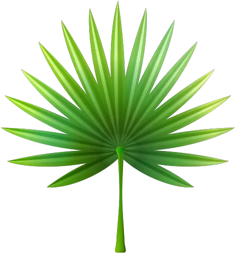  Pin De Em Exotic Leaves Png Tropical Leaf Png