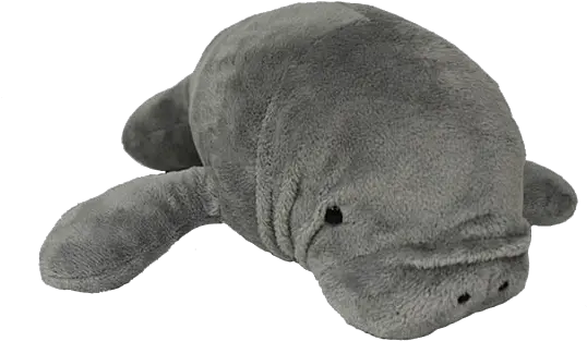  Manatee Plush Png Image Stuffed Toy Manatee Png