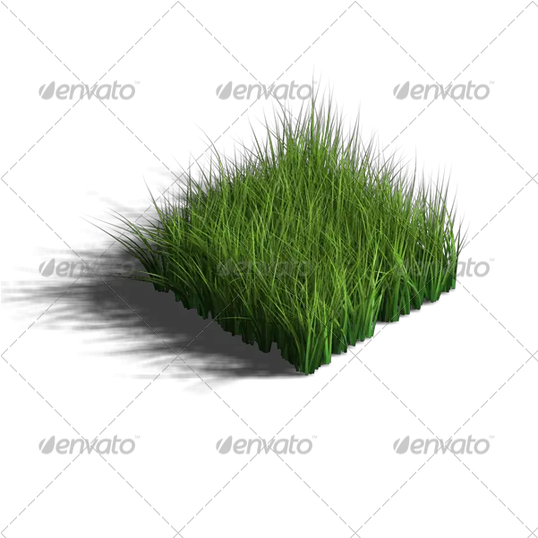  3d Design Kit Grass U0026 Ground Sweet Grass Png Grass Png