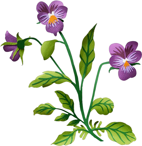  Pansy Pansy Transparent Background Clipart Full Size Pansy Flower Clip Art Png Sunflower Transparent Background