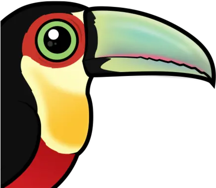  Colorful Red Breasted Toucan Aka Greenbilled Toucan Toco Toucan Png Toucan Png