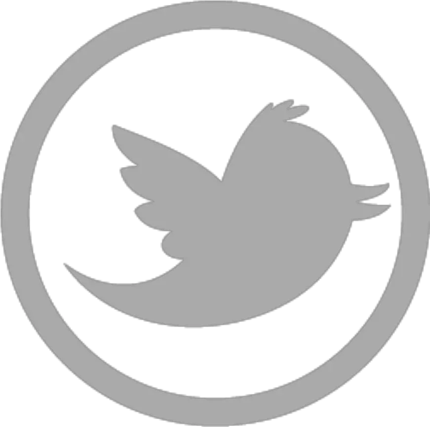  Twitter Icon Software Technologies Limited Png Daniel Icon