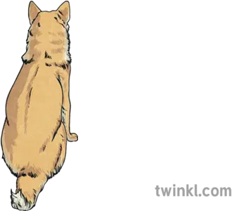  Dodge Back Shot Dog Animal Pet Soft Png Shiba Inu Transparent