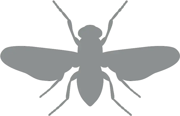  Restaurant And Food Service Pest Control Terminix Png Fly Repellent Icon