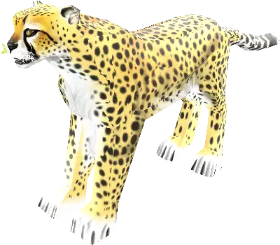  Download Hd Zip Archive Cheetah Transparent Png Cheetah Cheetah Png