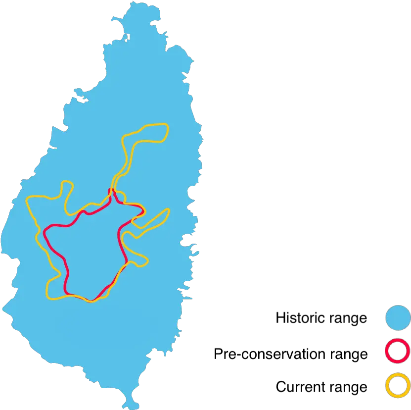  Range Map St Lucia Island Png Parrot Png