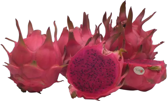  Agro Raw Red Dragon Fruit Png Dragon Fruit Png