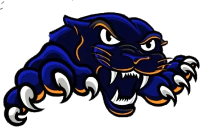  Clipart Panther Claw Pana Jr High School Png Panthers Png