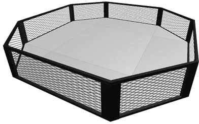  Ufc Octagon Png Hd Quality Coffee Table Octagon Png