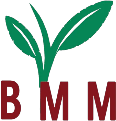  Cropped Bmmsiteiconminpng U2013 Beyond Measure Market Language Min Icon