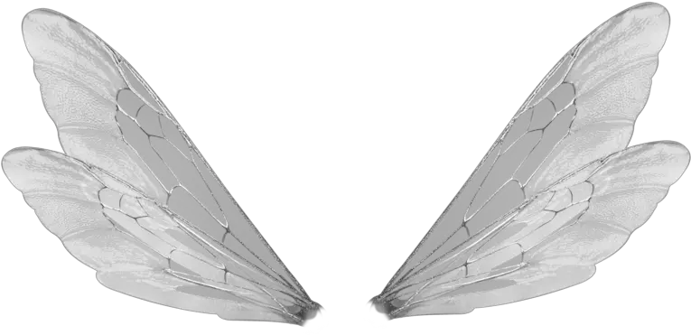  Transparent Shared Transparent Fairy Wings Png Wings Transparent