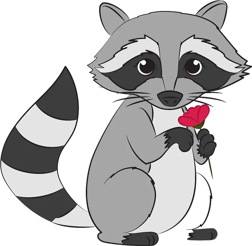  Clipart Transparent Raccoon Clipart Png Raccoon Transparent