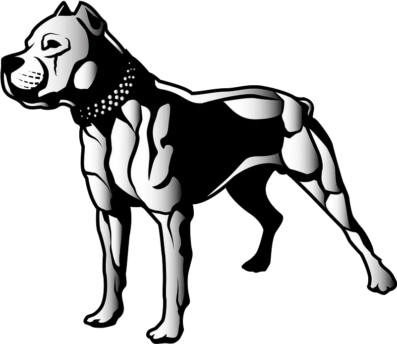  Pitbull Clipart Pit Bull Clipart Png Pit Bull Png