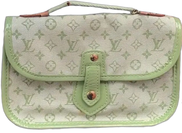  Bag Bags Mint Cute Fancy Louisvuitton Png Pngs Aestheti Hobo Bag Louis Vuitton Pattern Png