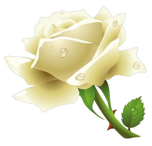  Download White Rose Free Png Transparent Image And Clipart Transparent White Rose Png Single Rose Png