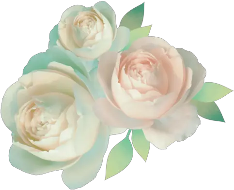  Png Pastel Rose Transparent Single Rose Png