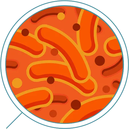  Download Hd Iron Orange Bacteria Png Bacteria Png