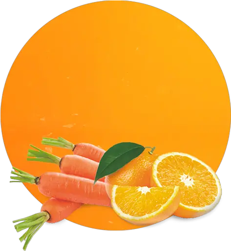  Orange U0026 Carrot Compound Manufacturer And Supplier Carrot And Orange Png Carrot Png