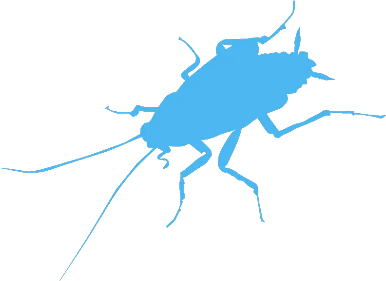  Cockroach Silhouette Free Vector Silhouettes Creazilla Parasitism Png Cockroach Icon