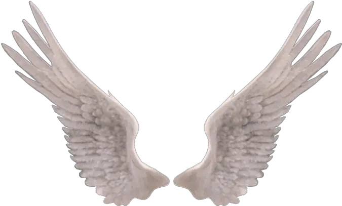  Angel Wings Png Edit Photography Ailes D Ange Png Wings Png