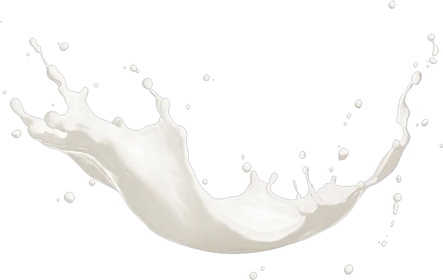  Download Chocolate Chips Chip Goat Milk Splash Png Got Milk Png