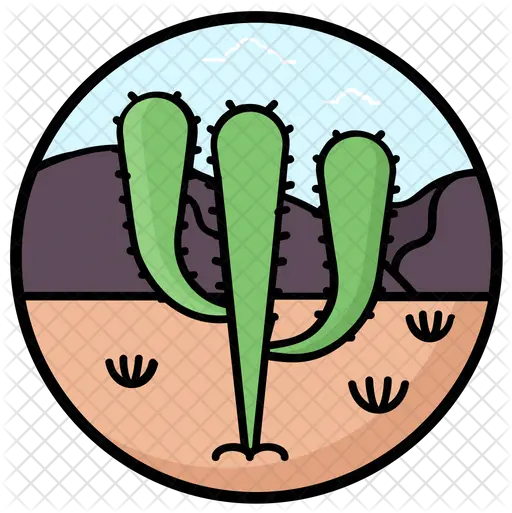  Desert Succulent Icon Clip Art Png Succulent Png