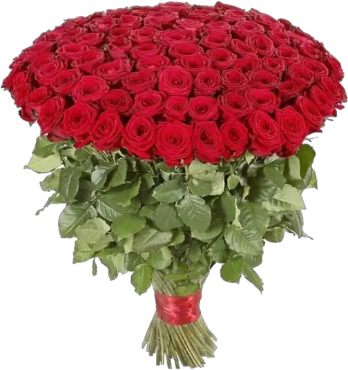  Red Roses Birthday Bouquet Png Image 100 Röda Rosor Bouquet Png