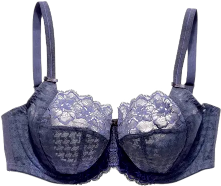  The Bra Awards 2018 Brassiere Png Bra Png