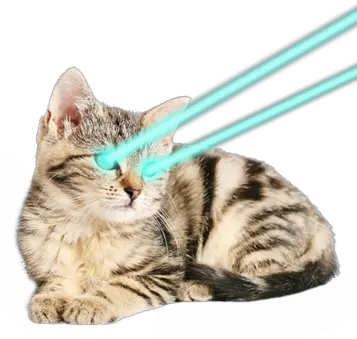  Laser Cat Png 3 Image Kitten Cats Transparent Background