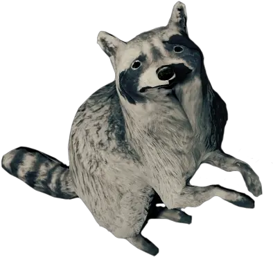  Raccoon Procyon Png Raccoon Png