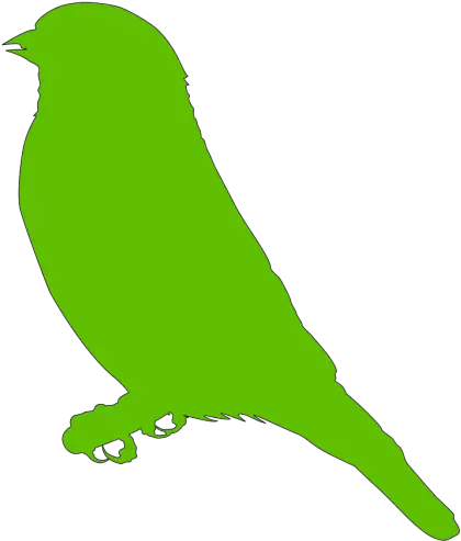  Lighter Green Bird Png Svg Clip Art For Web Download Clip Mountain Bluebird Bird Outline Png