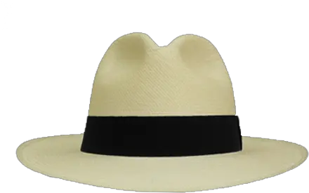  Gangster Hat Transparent Png Fedora Gangster Hat Png