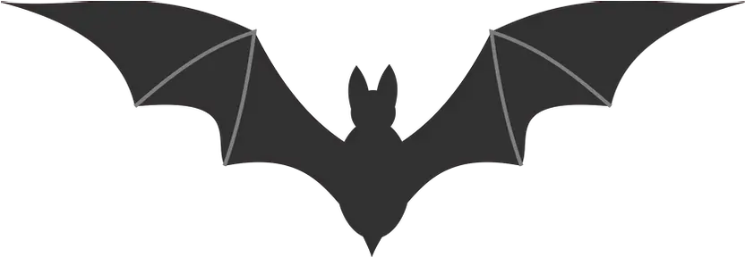  Bat Png Images Bat Clipart No Background Bats Transparent